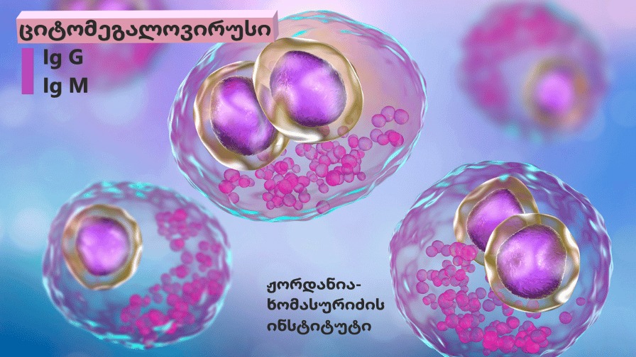 რა უნდა ვიცოდეთ ორსულობის დაგეგმვისას?