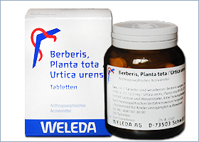 ბერბერის პლანტა ტოტა/ურტიკა ურენსი - ველედა / Berberis, Planta tota/Urtica urens