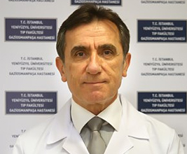Assoc.Prof.Dr. Elmas Orak