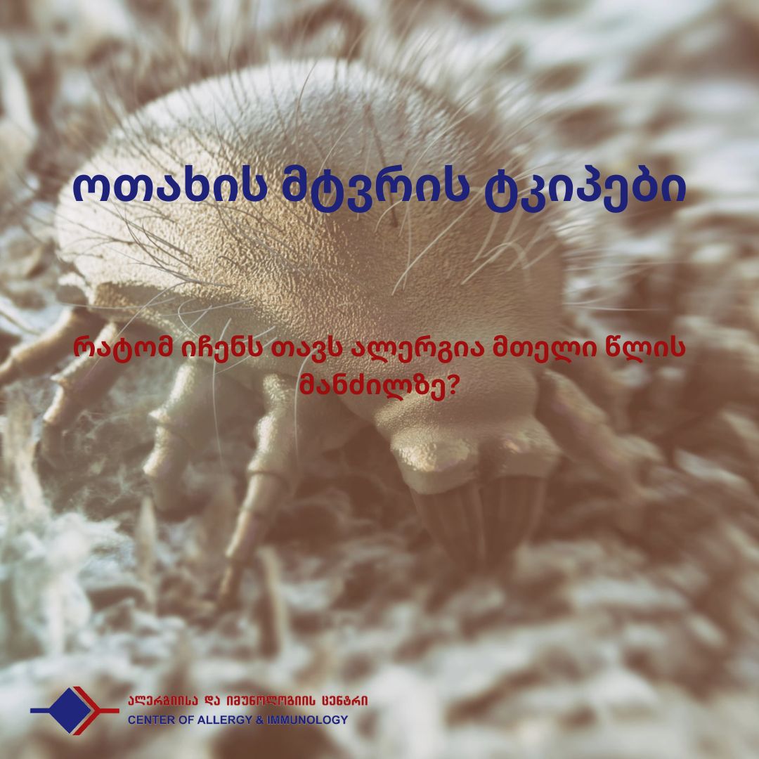 ოთახის მტვრის ტკიპები- რატომ იჩენს თავს ალერგია მთელი წლის მანძილზე?
