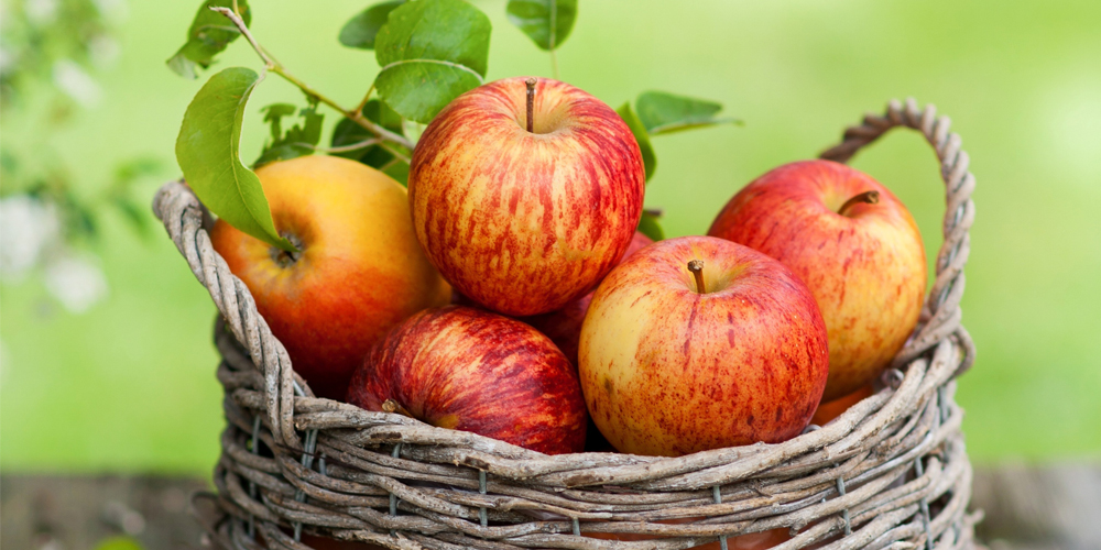 ვაშლის სასარგებლო  თვისებები