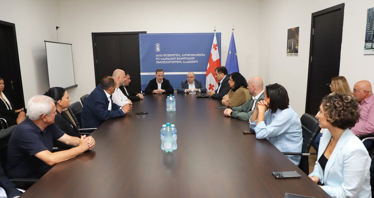 დევნილთა და ეკომიგრანტთა სააგენტოს დავით კაიკაციშვილი უხელმძღვანელებს