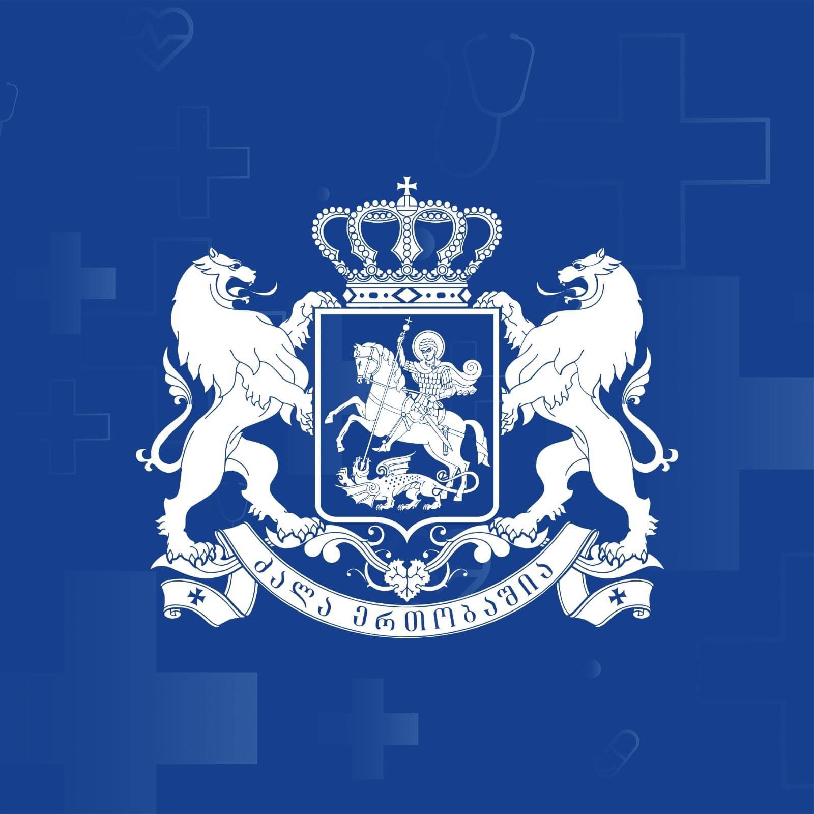 დევნილთა, შრომის, ჯანმრთელობისა და სოციალური დაცვის სამინისტრო