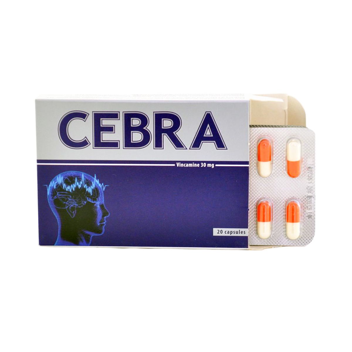 ცებრა / CEBRA